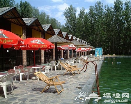 鹅和鸭农庄：栽果种粮看群鸭戏水