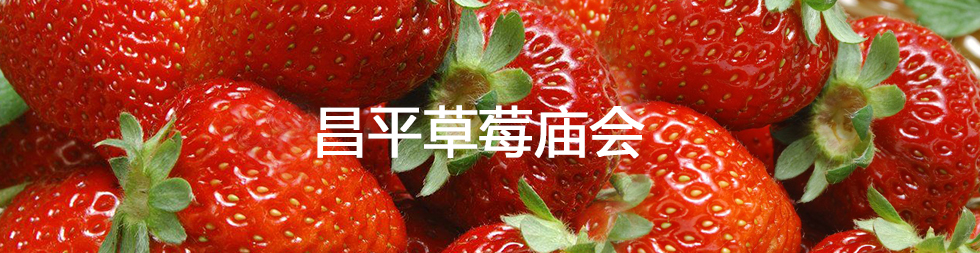 昌平草莓庙会