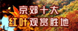 北京红叶