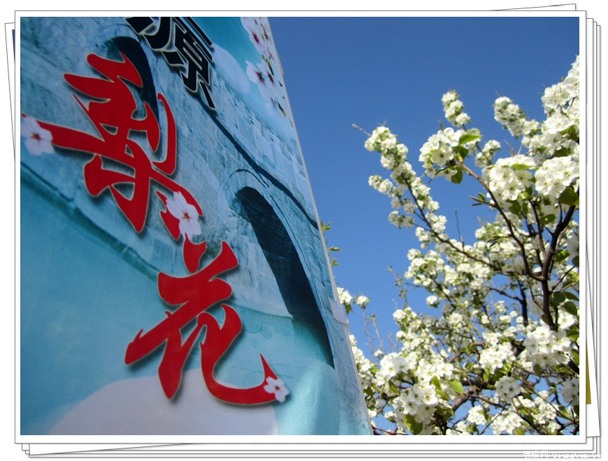 2012年房山琉璃河第五届梨花文化节摄影
