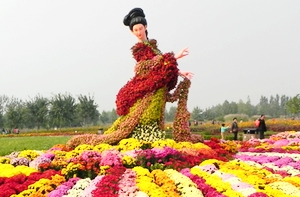 北京菊花文化节