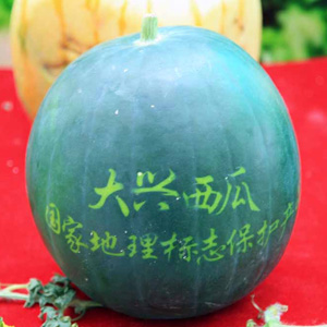 大兴西瓜节