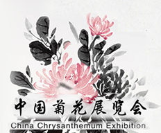 中国菊花展