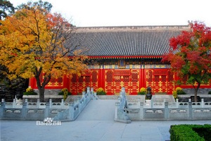 十一旅游