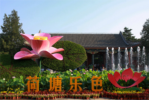 圆明园荷花节