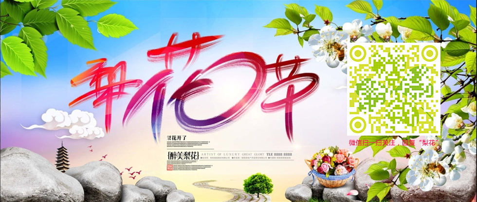 赵县梨花节